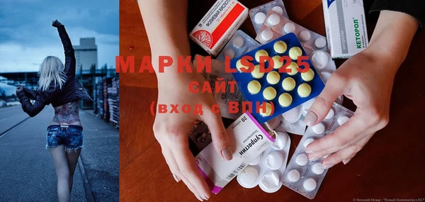 круглые Аркадак