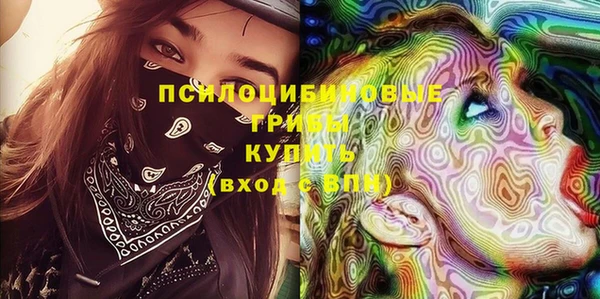 бутират Сатка
