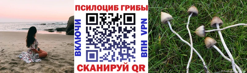 МЕГА рабочий сайт Бабаево Галлюциногенные грибы мицелий