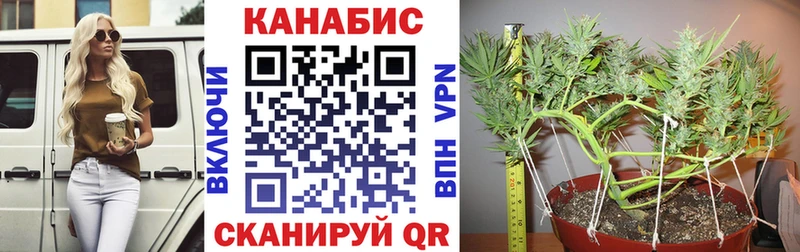 blacksprut ТОР  Бабаево  Бошки Шишки VHQ 